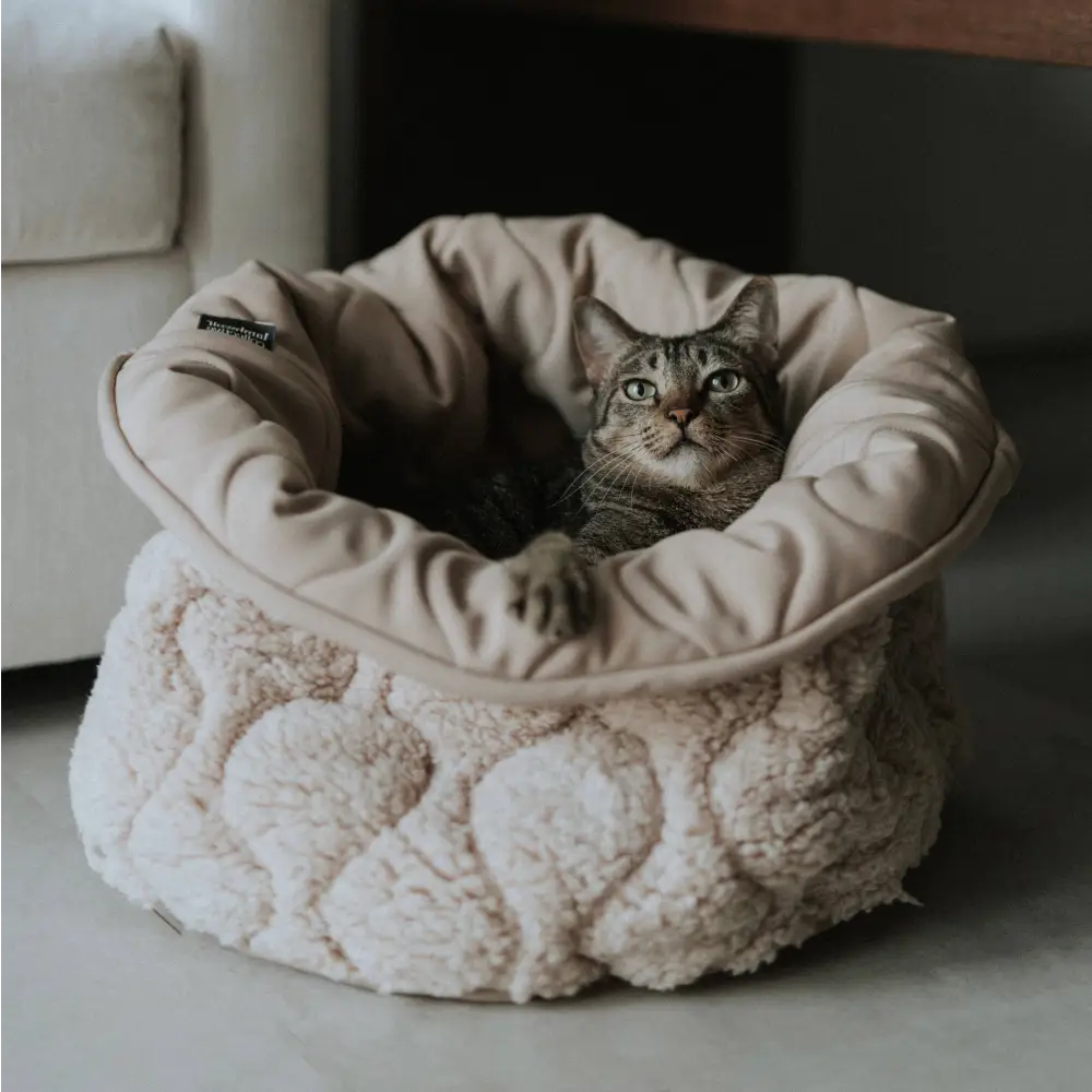 TAART Donut-Hundebett in runder Form mit erhöhter, gepolsterter Liegefläche