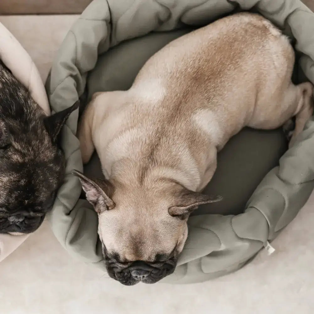 TAART Hundebett von oben – rundes Design mit Wellenmuster und gepolsterter Liegefläche in Farn / Oliv
