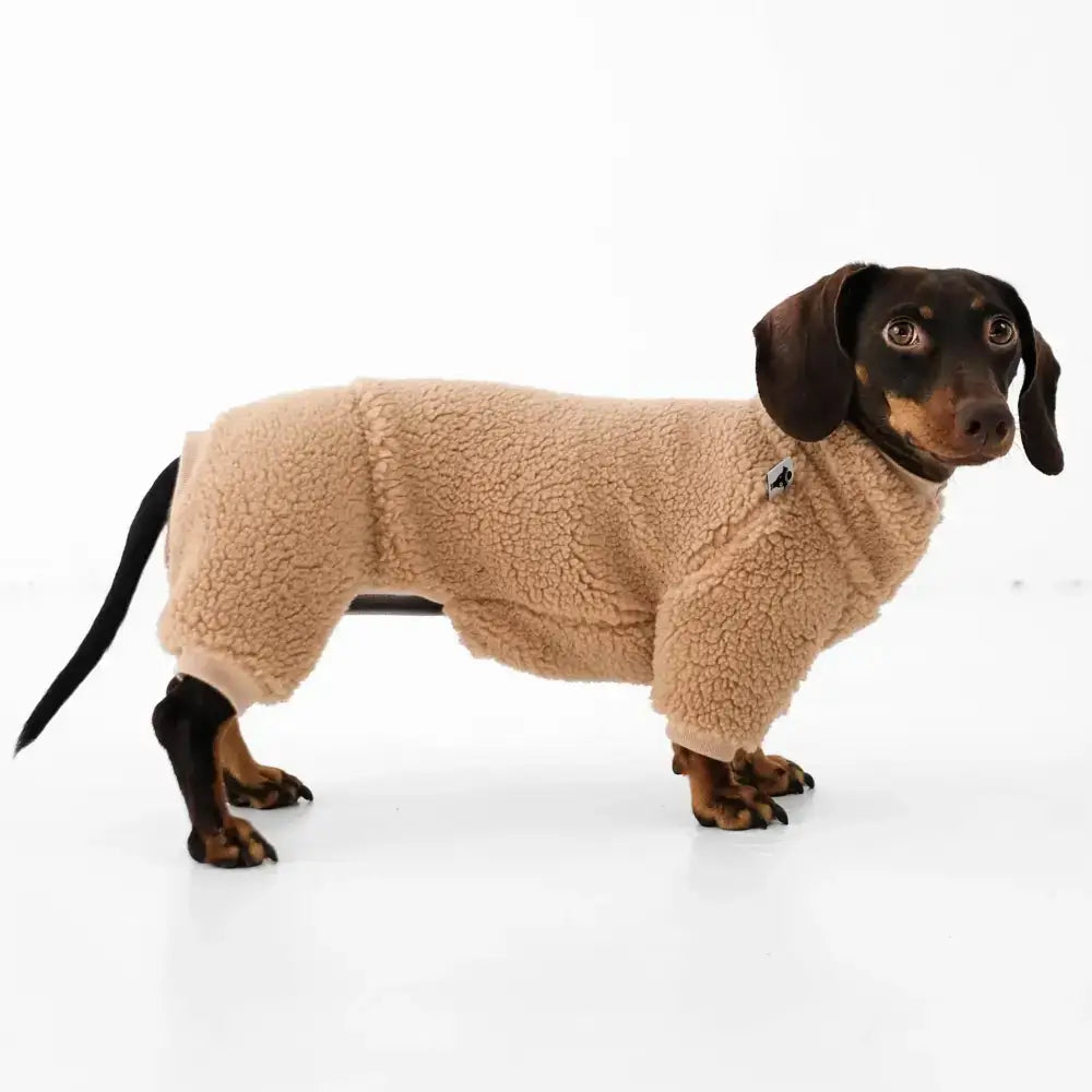 Teddy Overall für Dackel Beige - Hundepullover