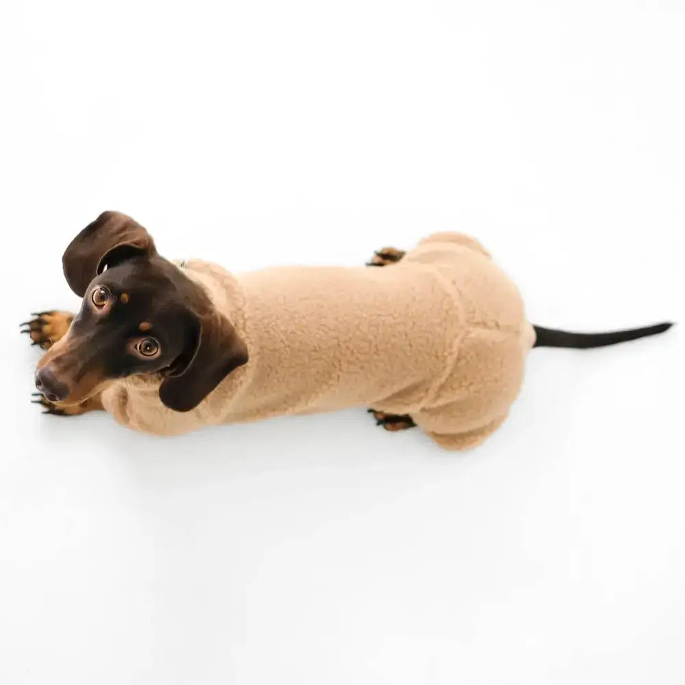 Teddy Overall für Dackel Beige - Hundepullover