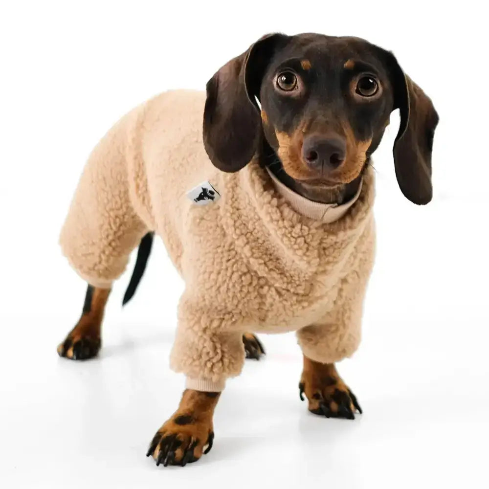 Teddy Overall für Dackel Beige - Hundepullover