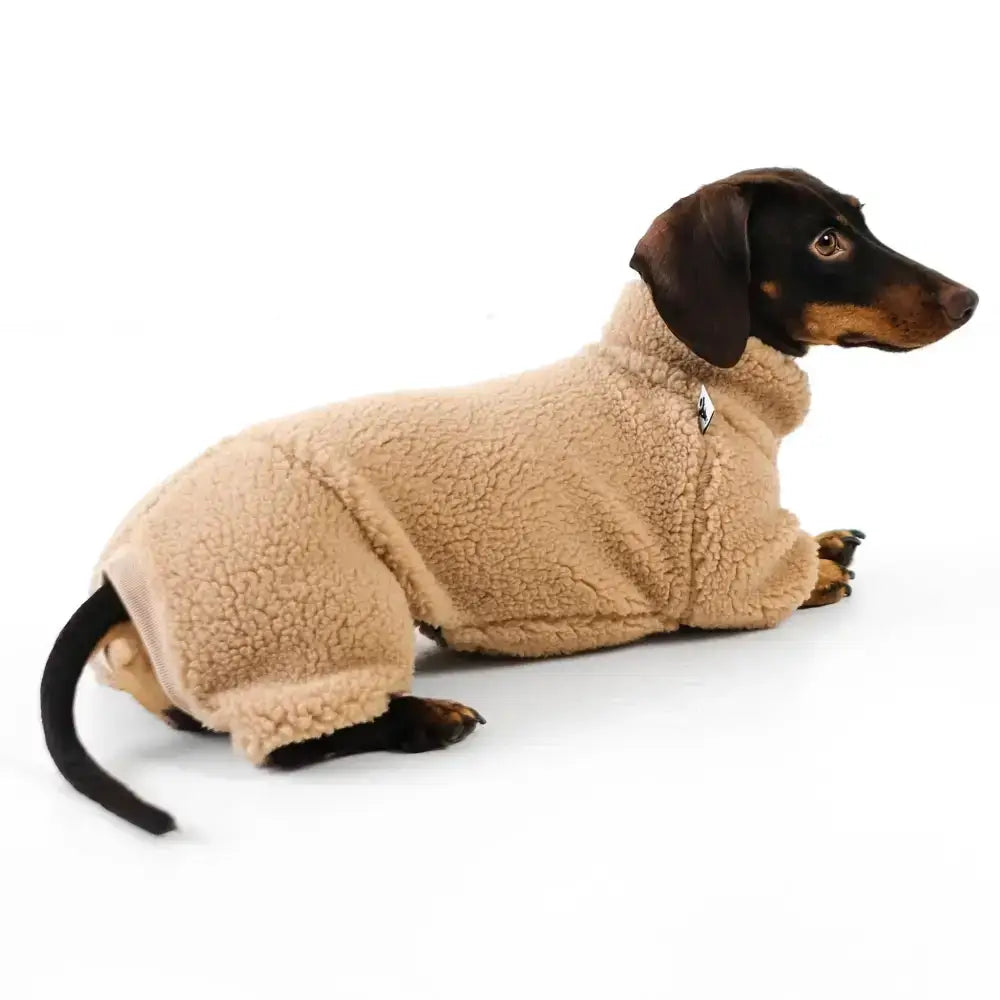 Teddy Overall für Dackel Beige - Hundepullover