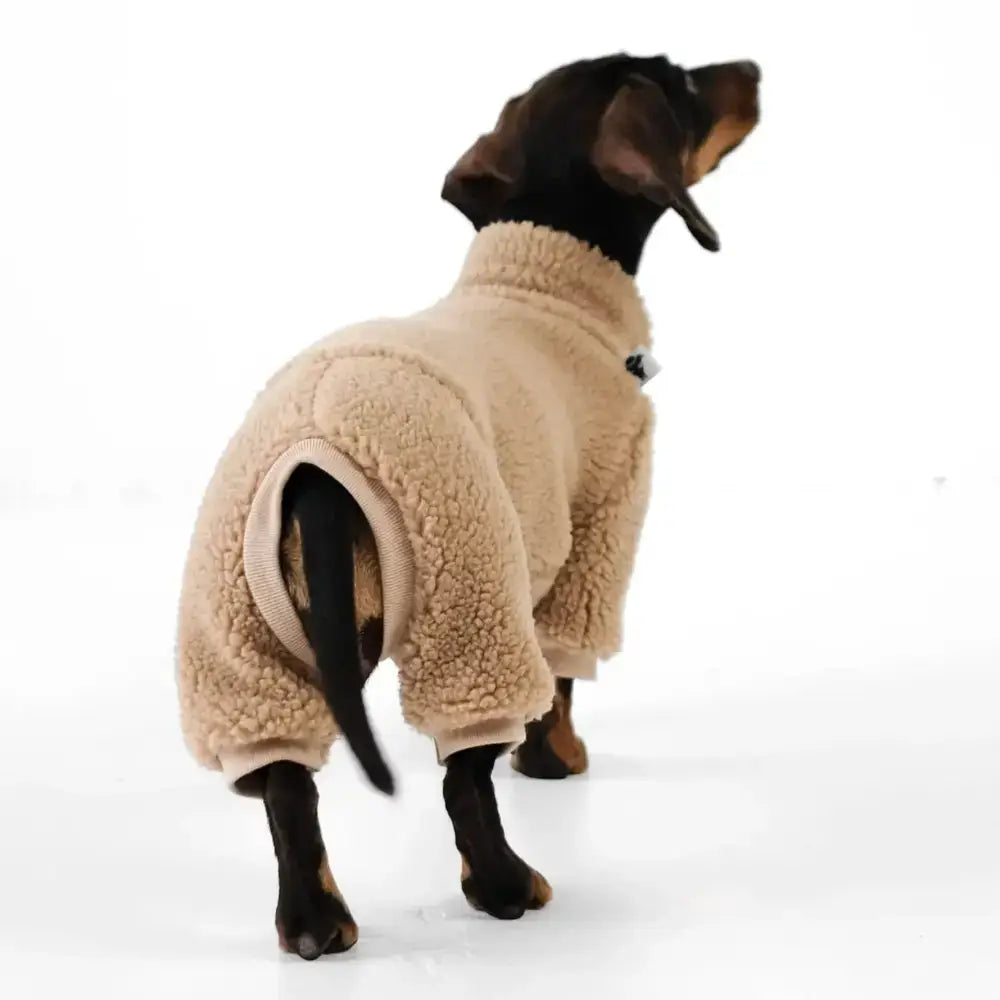 Teddy Overall für Dackel Beige - Hundepullover