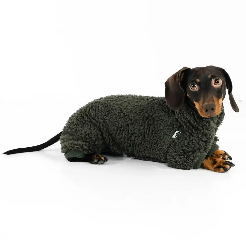 Teddy Overall für Dackel Dark Olive - Hundepullover