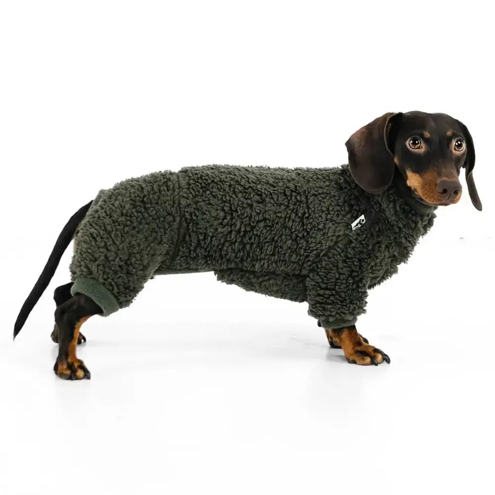 Teddy Overall für Dackel Dark Olive - Hundepullover