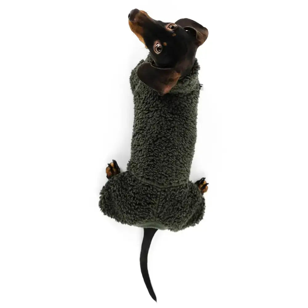 Teddy Overall für Dackel Dark Olive - Hundepullover