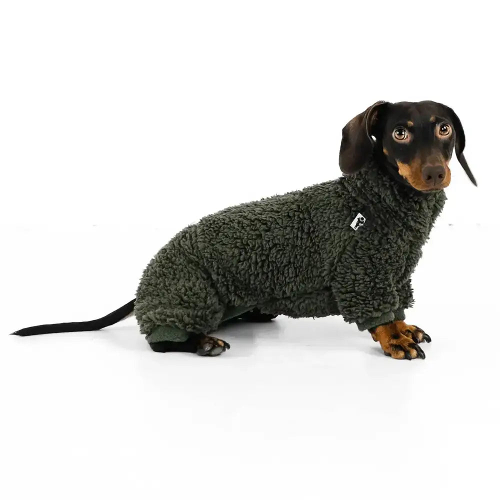 Teddy Overall für Dackel Dark Olive - Hundepullover