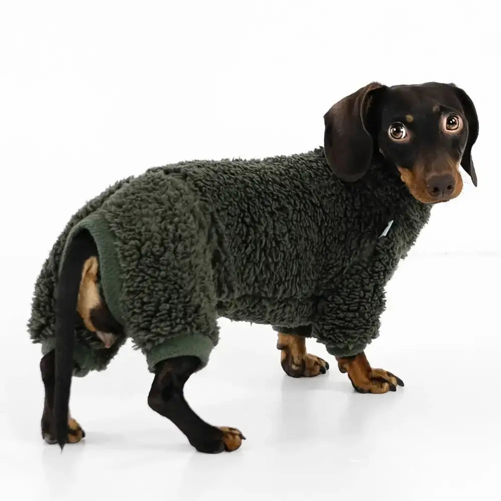 Teddy Overall für Dackel Dark Olive - Hundepullover