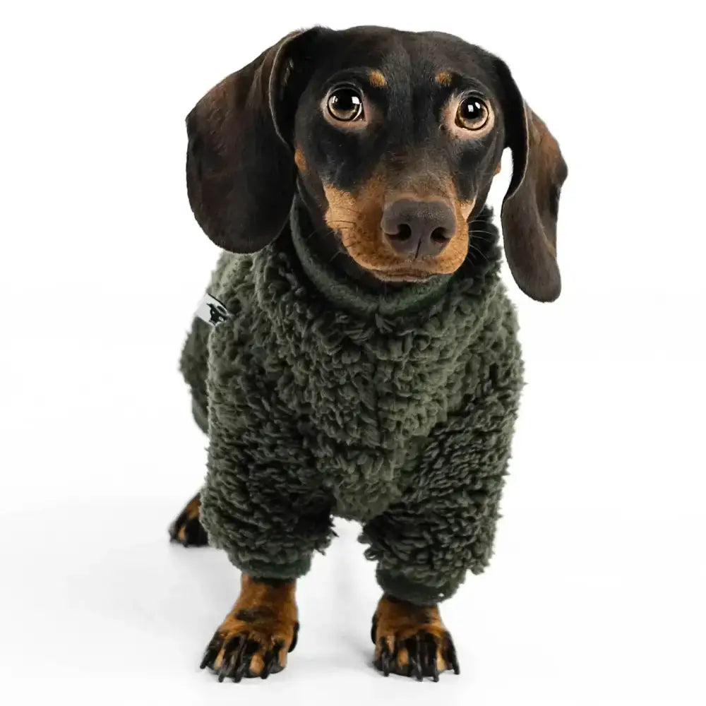 Teddy Overall für Dackel Dark Olive - Hundepullover