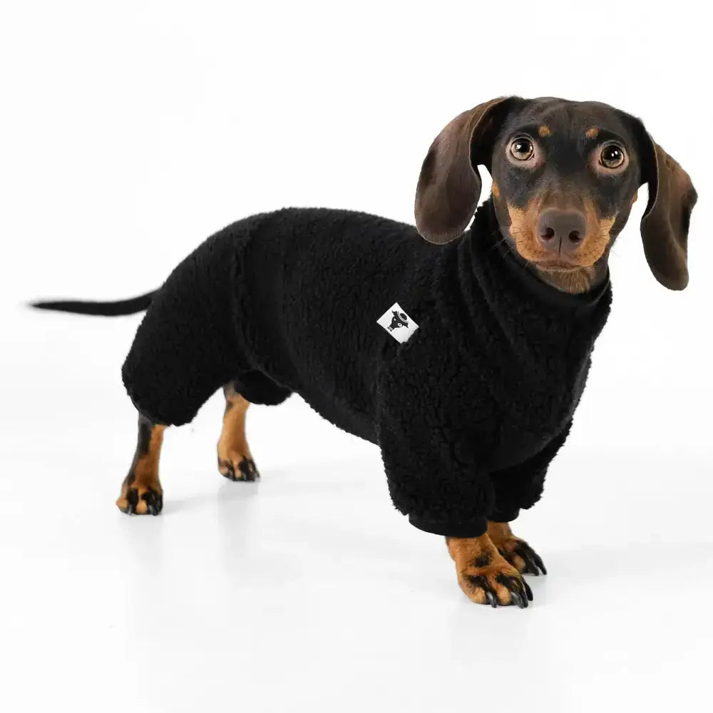 Teddy Overall für Dackel Schwarz - Hundepullover