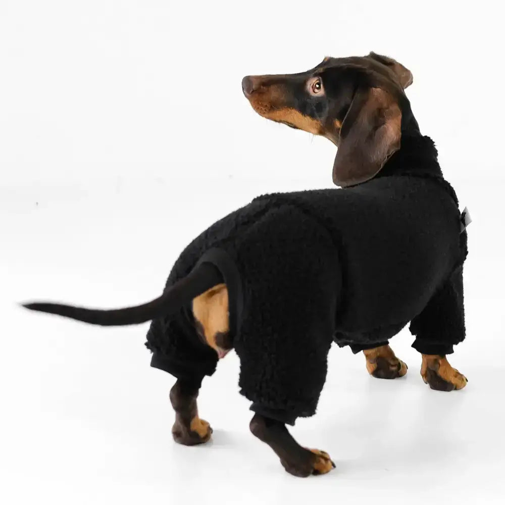 Teddy Overall für Dackel Schwarz - Hundepullover
