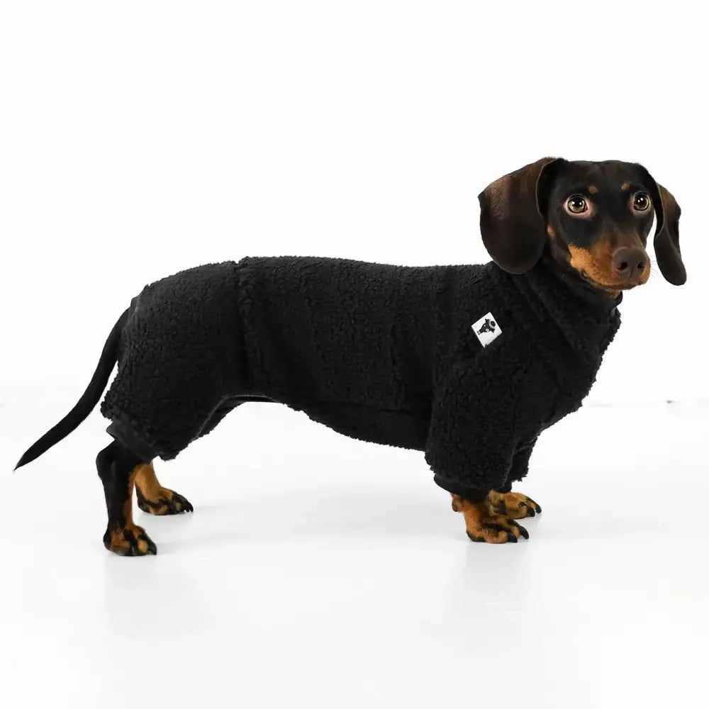 Teddy Overall für Dackel Schwarz - Hundepullover
