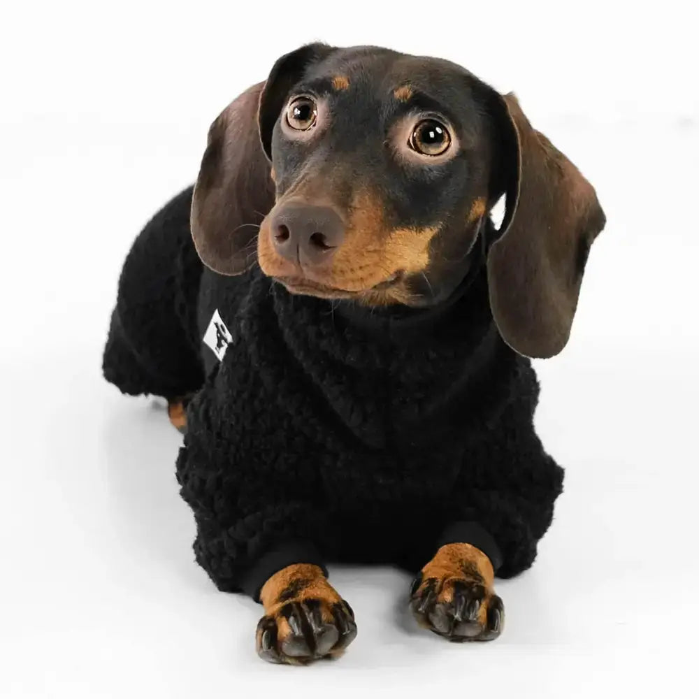 Teddy Overall für Dackel Schwarz - Hundepullover