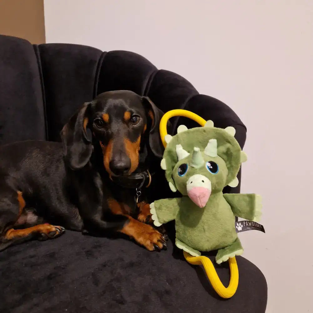Timmie Triceratops Plüschspielzeug von Pawstory, Detailansicht des starken Seils, ideal für Zerrspiele und Zahnpflege