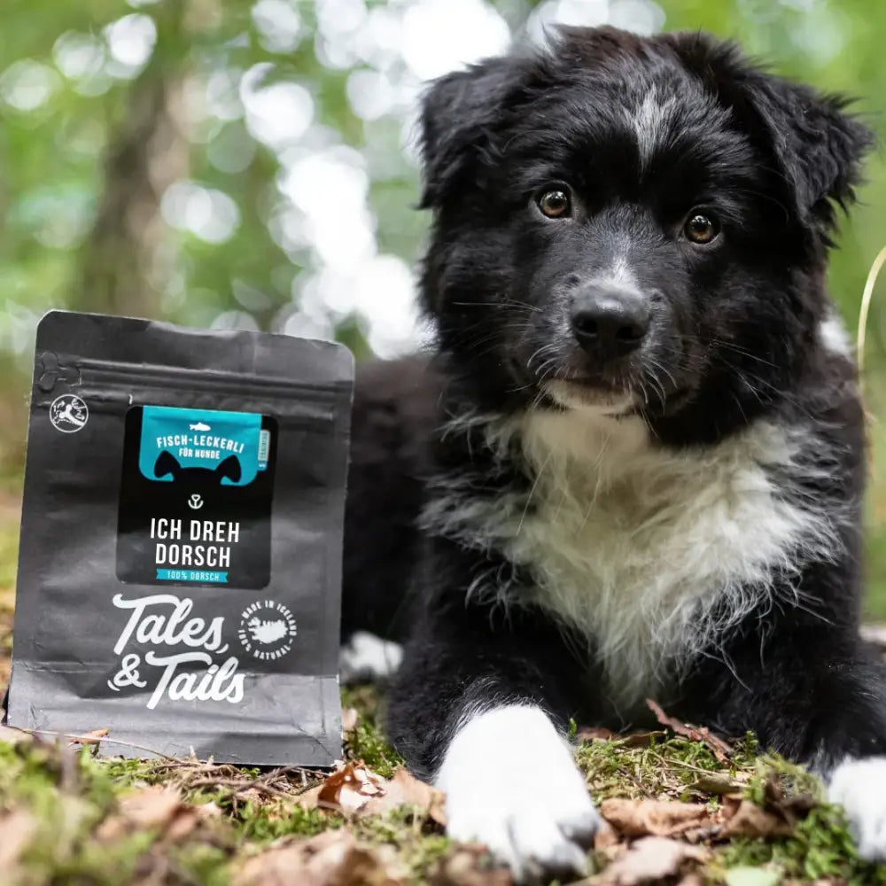 talestailes-trainingsleckerli-fisch-snack-hunde-snack-ich-dreh-dorsch