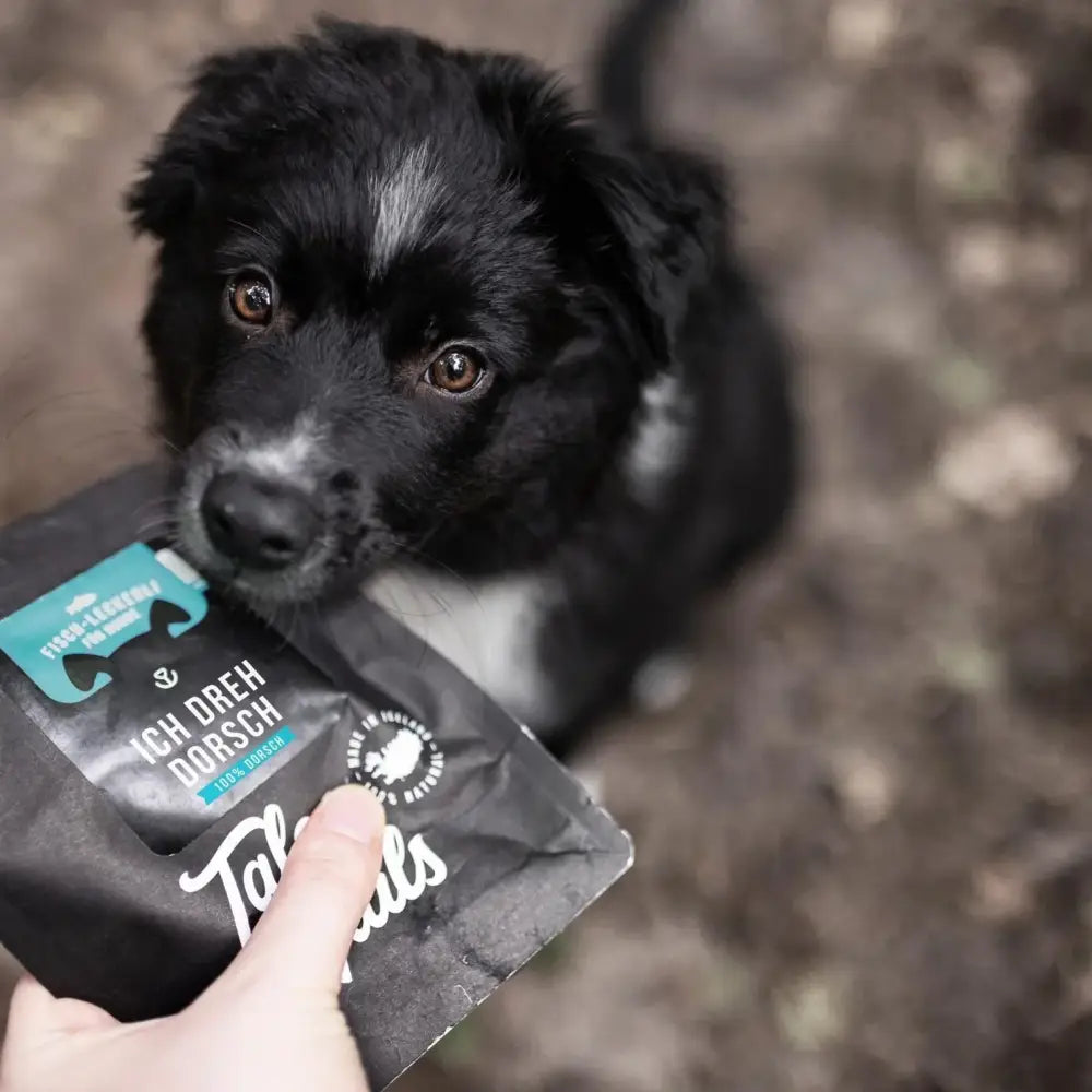 talestailes-trainingsleckerli-fisch-snack-hunde-snack-ich-dreh-dorsch