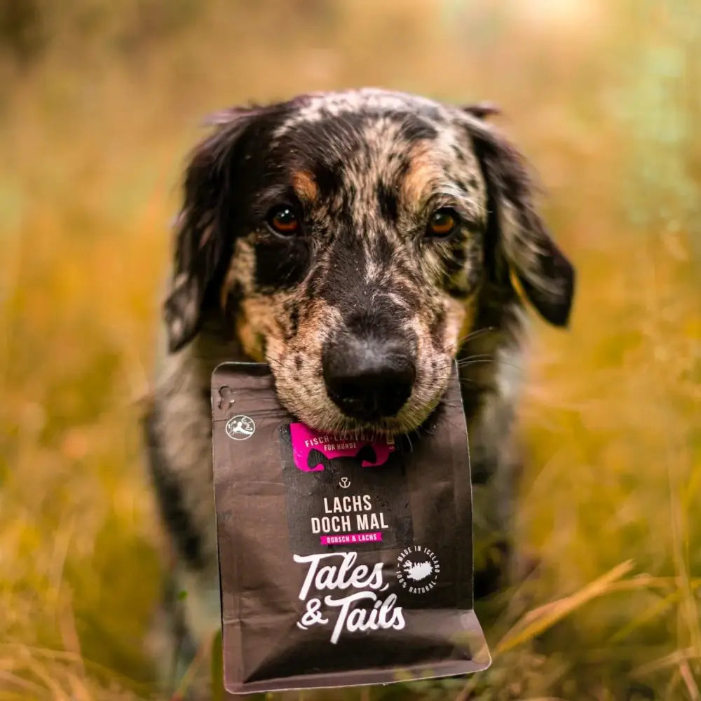 talestailes-trainingsleckerli-lachs-snack-hunde-snack-lachs-doch-mal