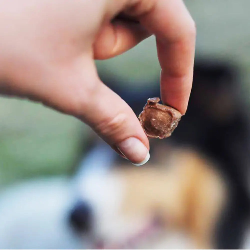 talestailes-trainingsleckerli-rinder-snack-hunde-snack-ich-will-ein-rind-von-dir