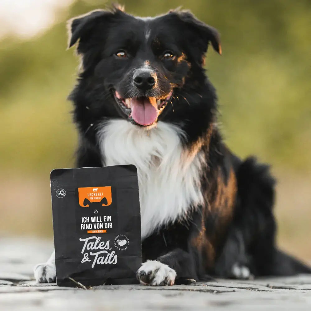 talestailes-trainingsleckerli-rinder-snack-hunde-snack-ich-will-ein-rind-von-dir