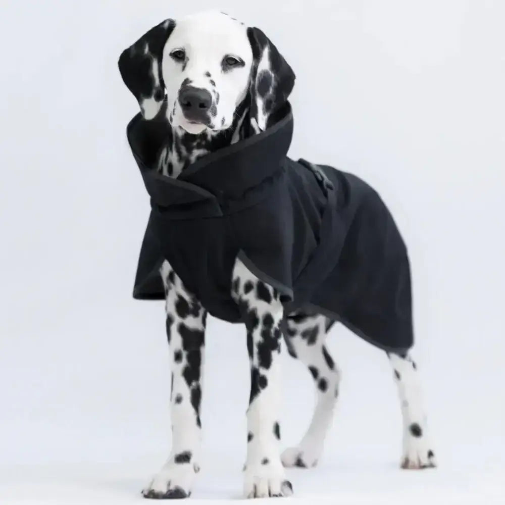 Wasserdichte Softshelljacke für Hunde mit reflektierenden Details für Sicherheit.