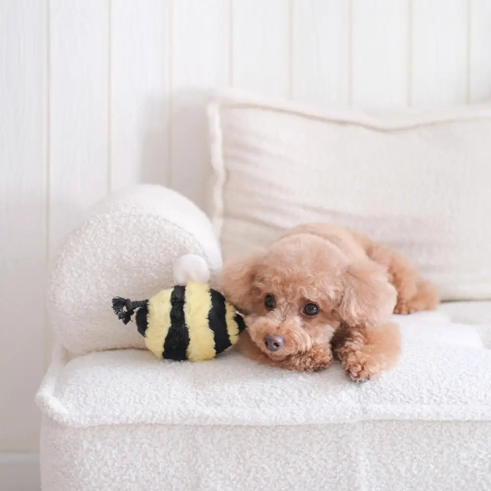 Welpe schnüffelt neugierig am BEE POP – ideales Intelligenzspielzeug für Hunde