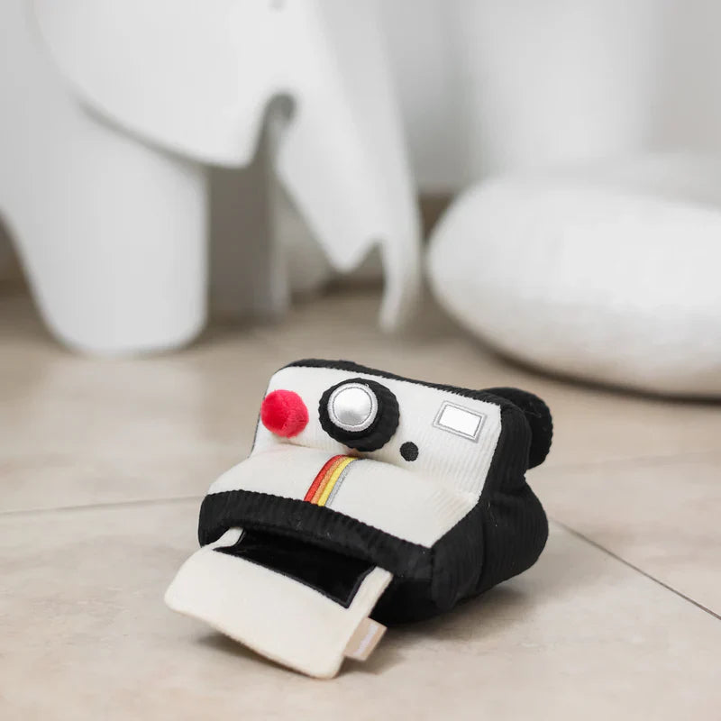 INSTANT CAMERA | Beschäftigungsspielzeug - Hundespielzeug