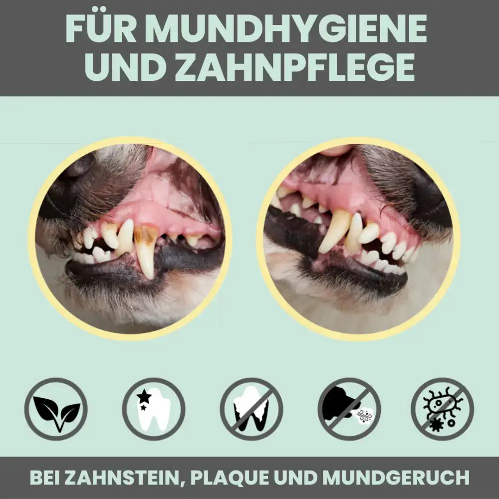 Zahnstein lösen ohne Schmirgelstoffe – Reinigt die Zähne, ohne den Zahnschmelz zu schädigen.