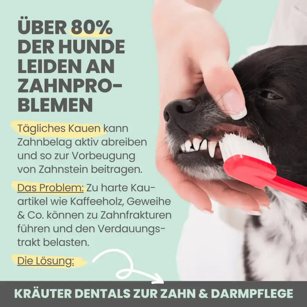 Langanhaltender Kauspaß für gesunde Hundezähne – Sanfte Reinigung & Zahnsteinprophylaxe mit natürlicher Rezeptur.