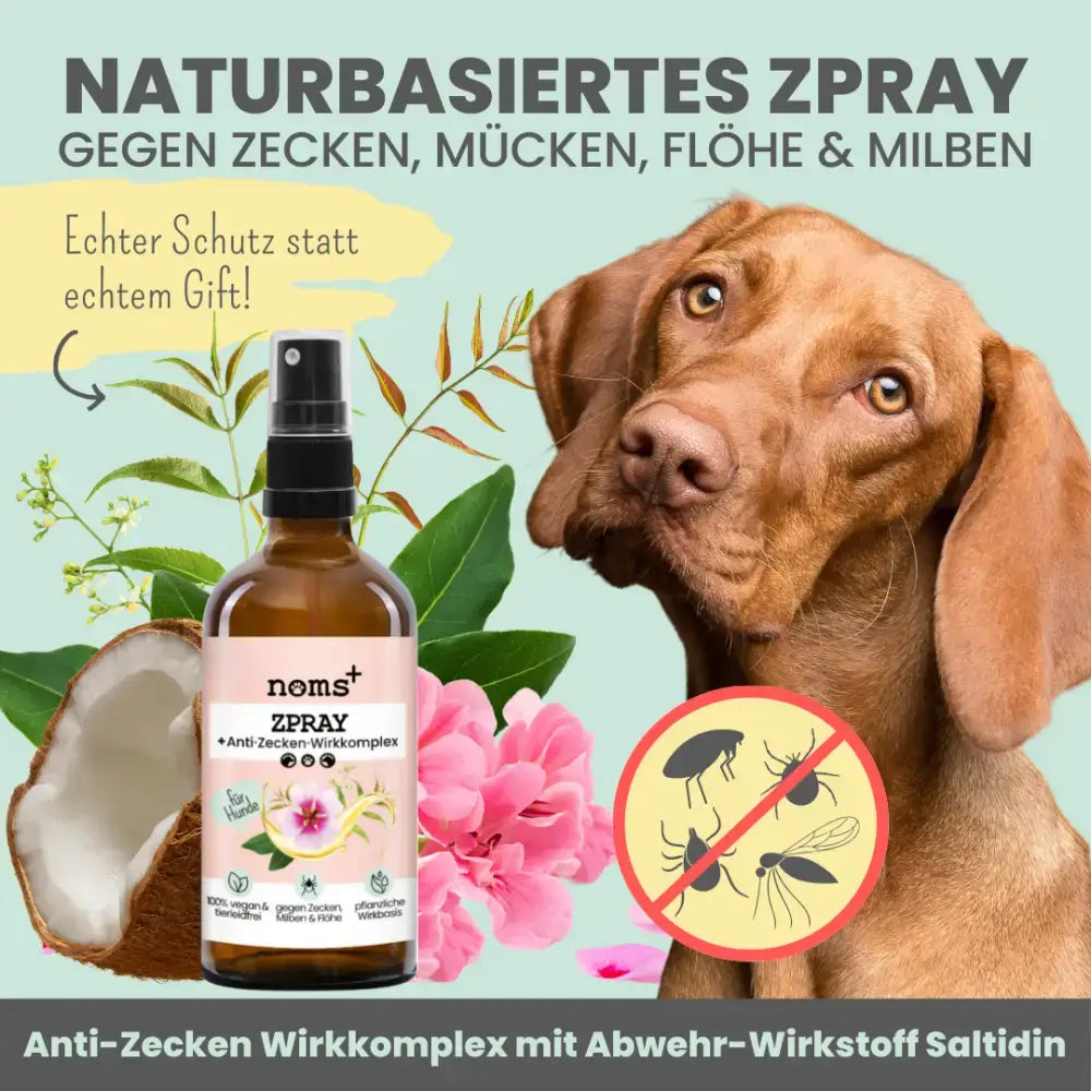 Zeckenschutz ohne Chemie für Hunde – das noms+ Anti-Zeckenspray mit natürlichen Ölen wie Geranium und Kokos.