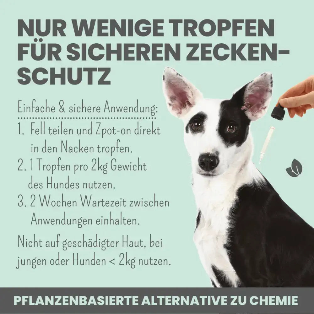 Zpot-on für Hunde – sichere Zeckenabwehr mit Saltidin, Niemöl und Kokosöl, sanft zur Haut.